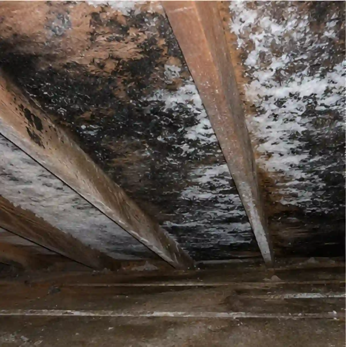 Home  Gallery 022 — Minnetonka home inspection