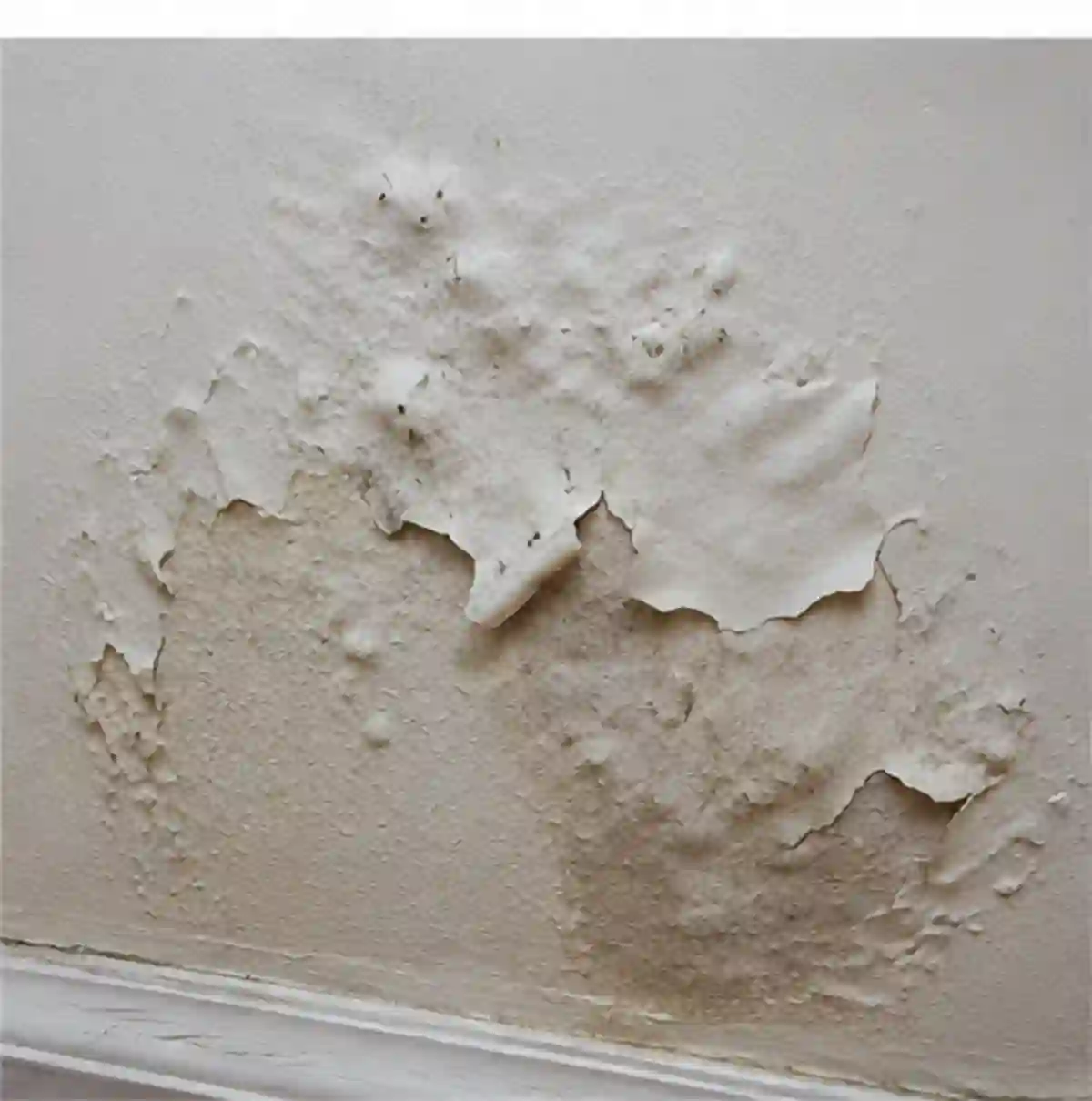 Home  Gallery 026 — Minnetonka home inspection