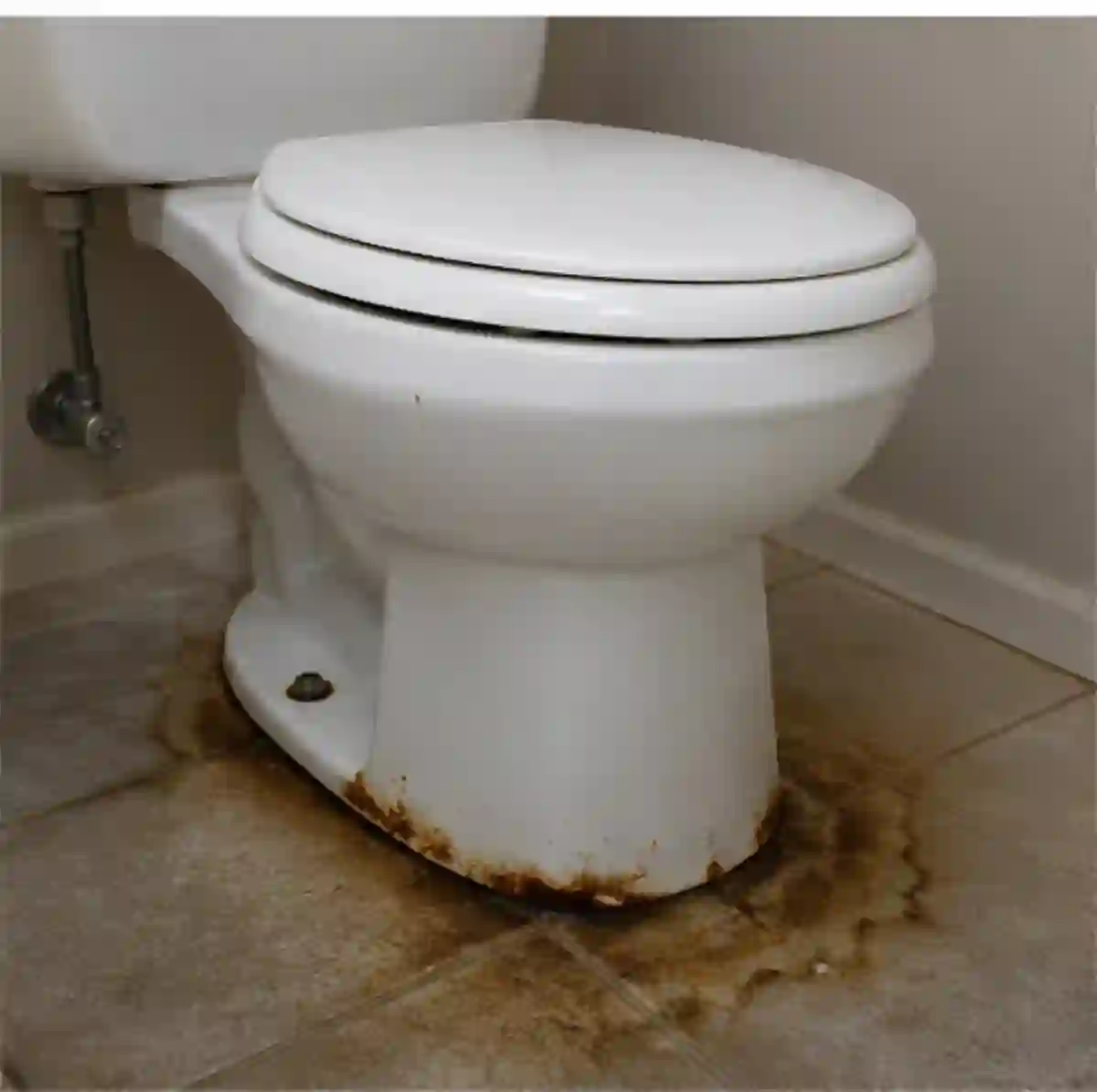 Home Gallery 029 — Minnetonka home inspection