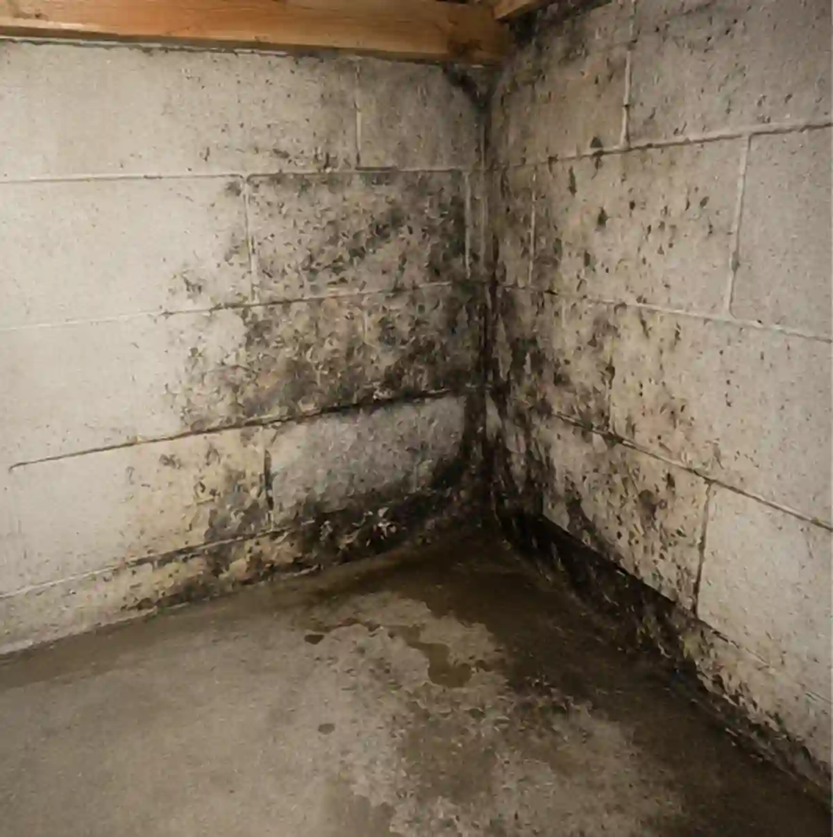 Home  Gallery 040 — Minnetonka home inspection