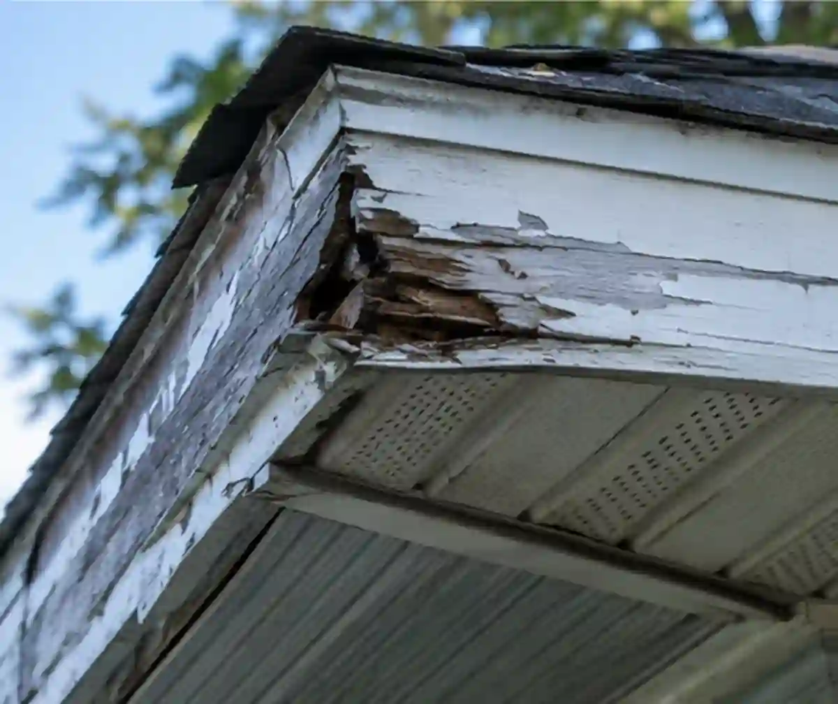 Home  Gallery 046 — Minnetonka home inspection