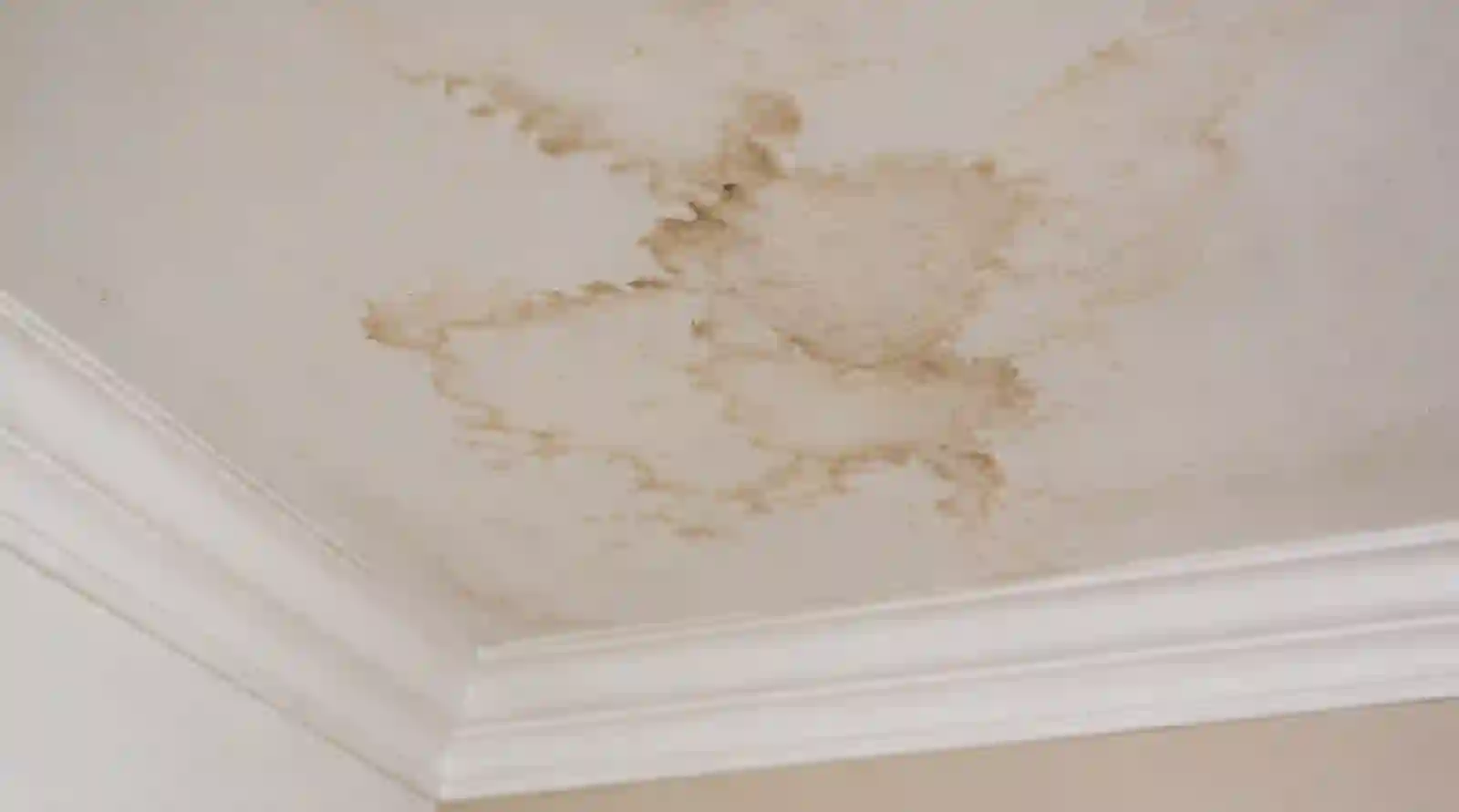 Reading step cracking in block foundation from minor to significant — Step Cracking in Block Foundation in a Minnetonka home